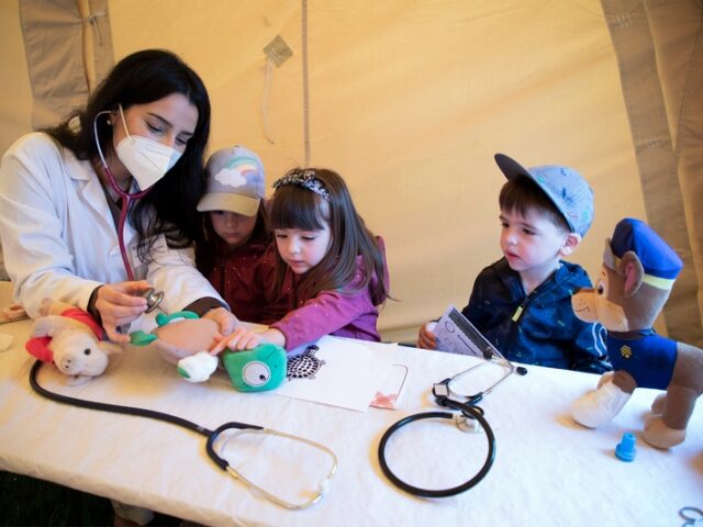 Erste Hilfe für Teddy und Co. / 15. Große Teddyklinik