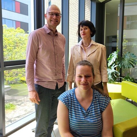 Magdeburger Forschungsteam entdeckt wichtige Schaltstelle für das Überleben von Zellen