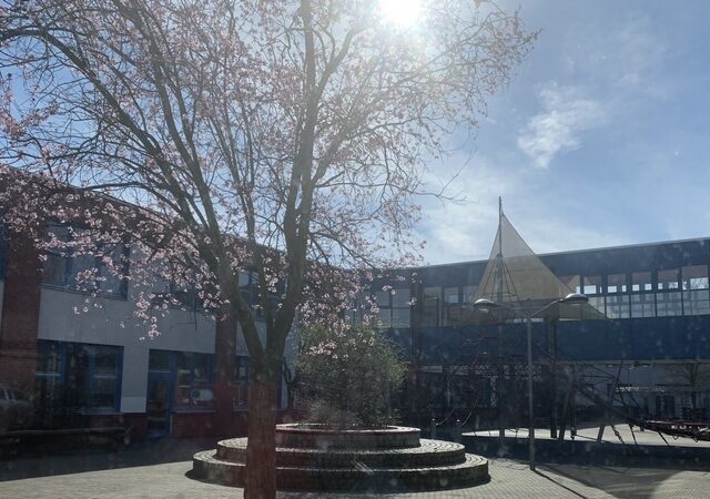 Neue Akustikdecken für die Grundschule „Am Grenzweg“ geplant / Künstliche Mineralfasern in Luftproben festgestellt