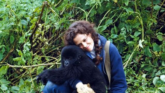 Biografie: Gorillas im Nebel (Arte  20:15 – 22:20 Uhr)