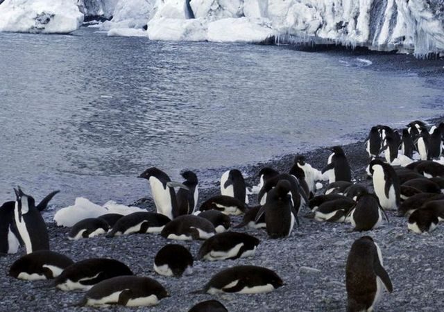 Doku: Antarktika – Die gefrorene Zeit (Arte  20:15 – 21:40 Uhr)