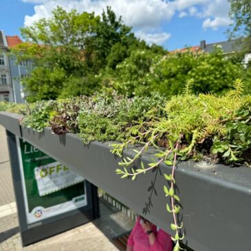 Haltestellen bekommen bepflanzte Dächer: 35 Standorte stehen fest