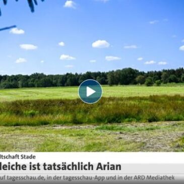 tagesschau in 100 Sekunden