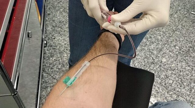 Beschäftigte des Landkreises Börde spenden Blut