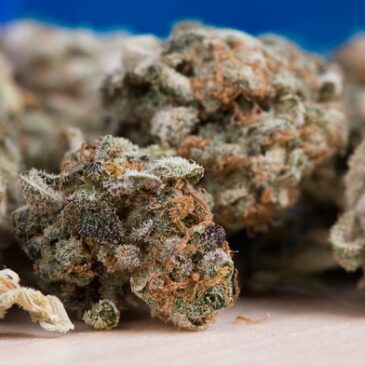 Zulässige Menge an Cannabis überschritten