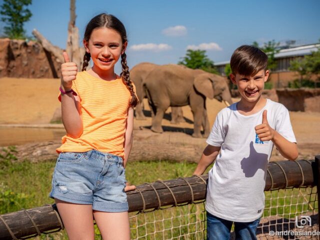 Erlebnisferien ab 24. Juni: Amazonien Expedition & AFRICAMBO Safari