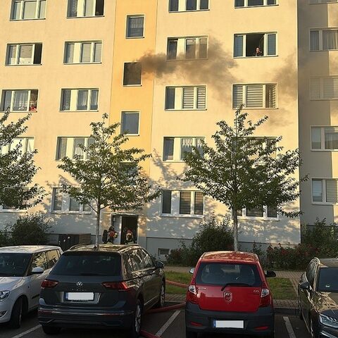 Polizeirevier Harz: Aktuelle Polizeimeldungen