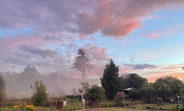 Feuerwehr im Einsatz: Ein Toter nach Brand in Gartenlaube