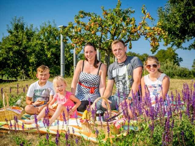 Picknick mit Alt-OB Willi Polte & Live-Musik am Sonntag ab 11:00 Uhr im Elbauenpark