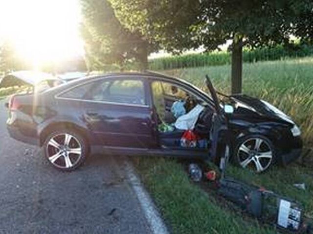 Polizeirevier Börde: Aktuelle Polizeimeldungen