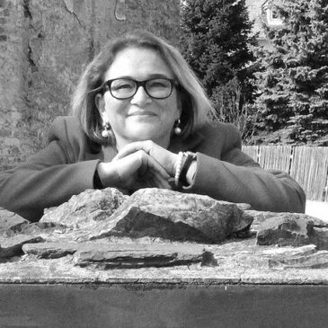 Frühere SPD-Landeschefin Katrin Budde beendet politische Karriere