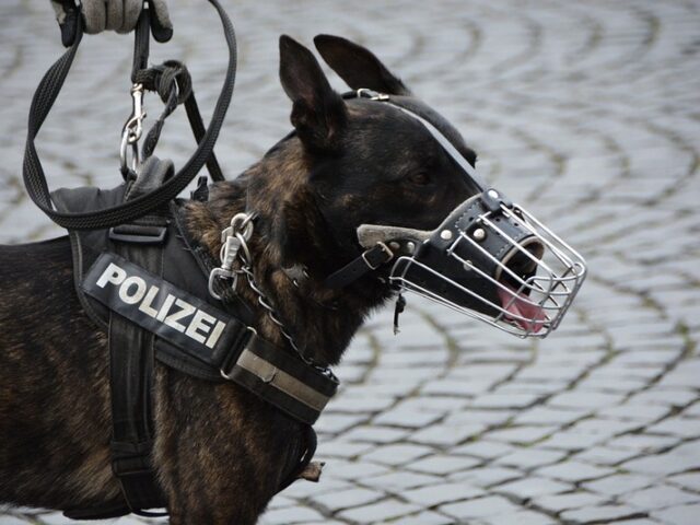 Zweirad samt Reisegepäck führt zu Polizeieinsatz