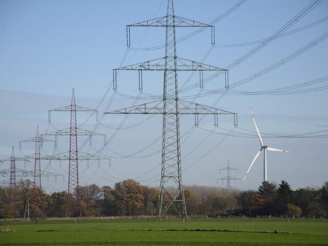 Bei Stromtrassen-Bau: FDP will Erdkabel vermeiden