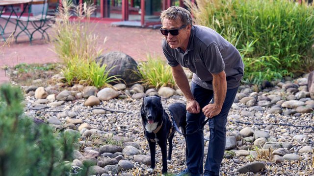 SOKO Köln – Vor die Hunde (ZDF 18:05 – 19:00 Uhr)