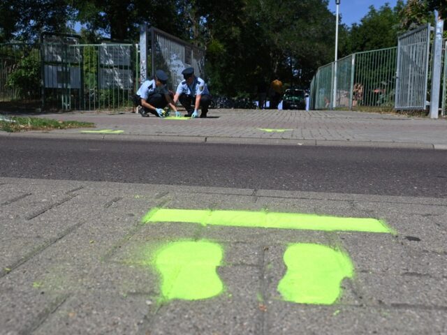 Polizeiinspektion Magdeburg: Zebrastreifen, Zebrastreifen, mancher wird dich nie begreifen…