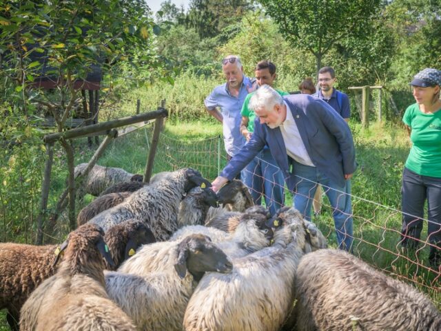 Sommertour: Willingmann besucht tierische Naturschutzhelfer im Saale- und Burgenlandkreis