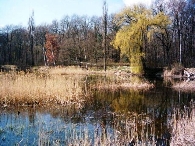 Sommertour: Willingmann besucht Projekte für Wasserrückhalt und Artenvielfalt