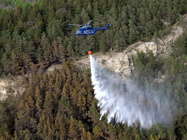Entspannung der Waldbrandlage: Regen macht Hoffnung am Brocken