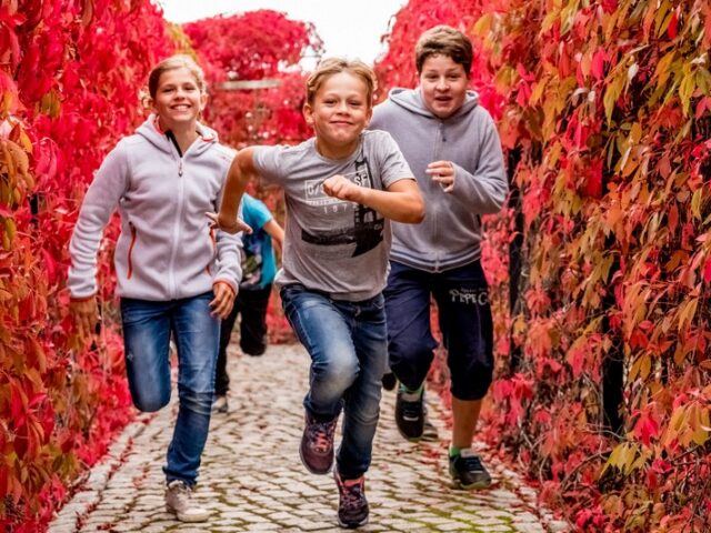 Waldgeister und Zeitreisen im Elbauenpark