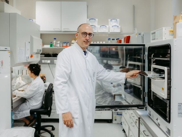 5 Mio. Euro für innovative Zell- und Immuntherapien „Made in Magdeburg“