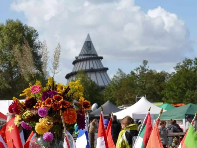 Ministerpräsident Haseloff eröffnet am Samstag das Landeserntedankfest