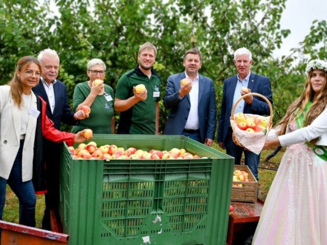 Start in die Apfelsaison 2024: Sachsen-Anhalts Äpfel überzeugen durch Qualität und Geschmack