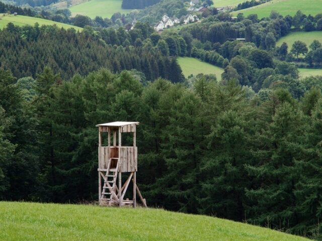 Jagdreviere in Haldensleben werden neu ausgeschrieben