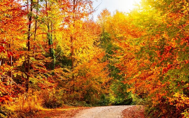 Das ist der „goldene Oktober“ – Zweite Wochenhälfte in bestem Licht