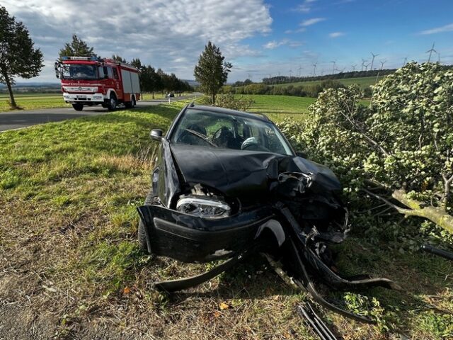 Polizeirevier Harz: Aktuelle Polizeimeldungen