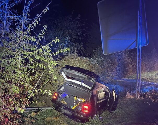 Fuchs ausgewichen und im Straßengraben gelandet