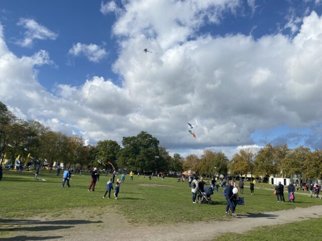 Hoch in die Lüfte: Haldensleber Drachenfest steigt heute auf der Masche