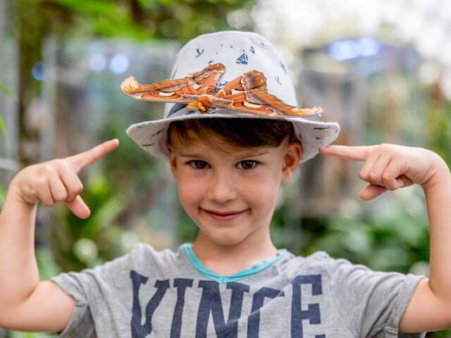 Auch in der Wintersaison viel los im Elbauenpark