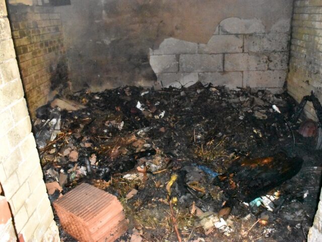 Polizeirevier Harz: Aktuelle Polizeimeldungen