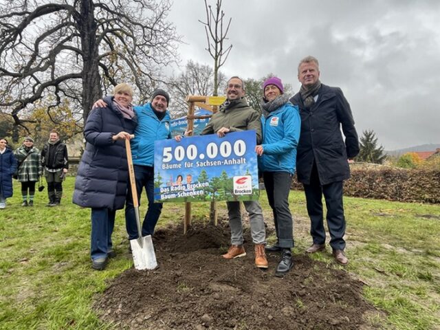 Eine Million Euro für neue Bäume im Harz /  Radio Brocken knackt historische Marke und pflanzt 500.000sten Baum