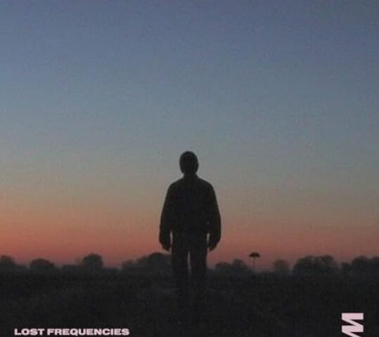 Lost Frequencies und sein neuer Song „Love Is The Only Thing“