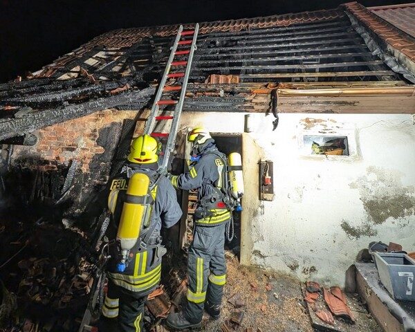Polizeirevier Harz: Aktuelle Polizeimeldungen