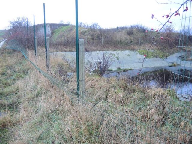 Polizeirevier Harz: Aktuelle Polizeimeldungen