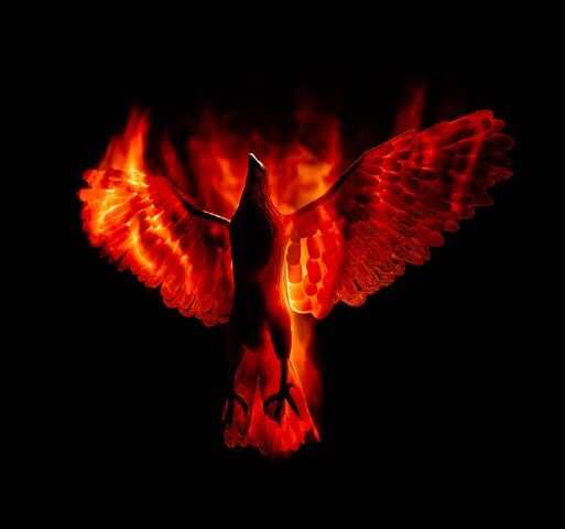 Data Luv und seine neue Single „Sterbe Gerade“