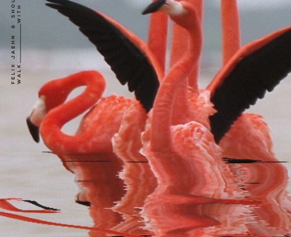 Felix Jaehn & Shouse veröffentlichen neue Single “Walk With Me”