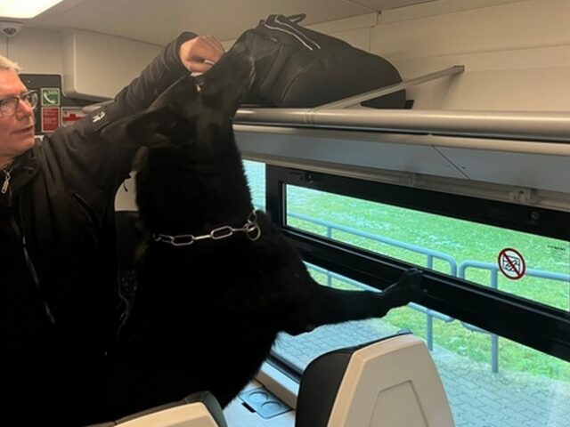 Herrenloser Koffer im Zug sorgt für Polizeieinsatz