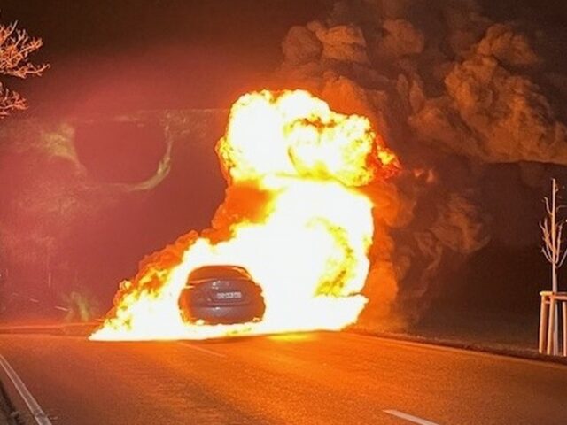 Polizeirevier Harz: Aktuelle Polizeimeldungen