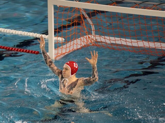 Magdeburg gewinnt Sachsen-Anhalt-Derby gegen den SV Halle mit 14:8