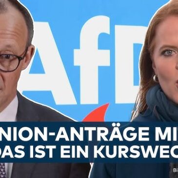 MIGRATION: Anträge mit AfD? Kritik an Merz! Fällt nach Aschaffenburg nun die Brandmauer?
