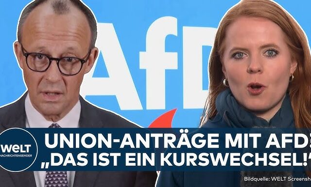 MIGRATION: Anträge mit AfD? Kritik an Merz! Fällt nach Aschaffenburg nun die Brandmauer?