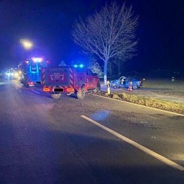 Autofahrer kommt von Fahrbahn ab und wird schwer verletzt
