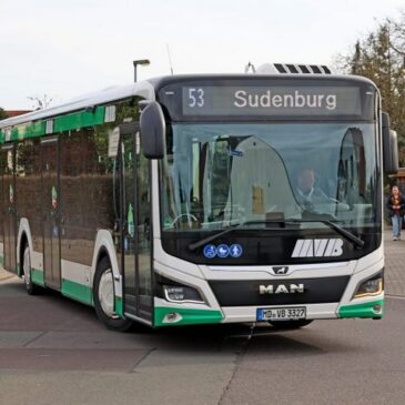 Bauarbeiten: Busse fahren ab Montag den Eichplatz nicht an