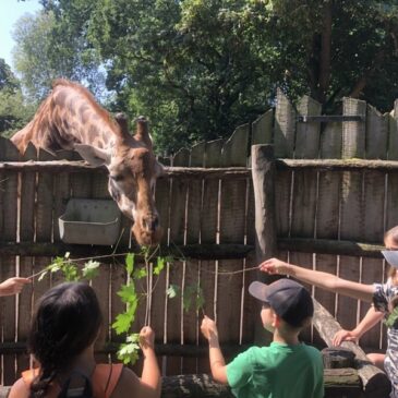 Internationaler Kindertag am 1. Juni 2025 im Zoo