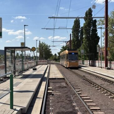 Zum Start der Badesaison: Linie 10 fährt ab heute wieder zum Barleber See