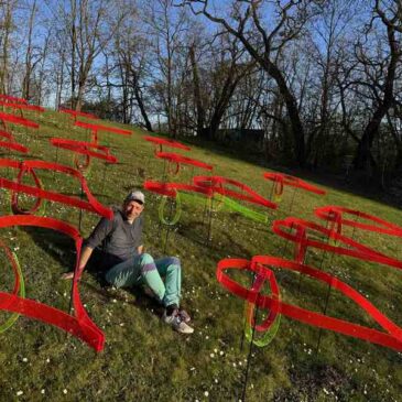 Letztes Leuchten: Finale der Paradiesischen Nächte im Elbauenpark