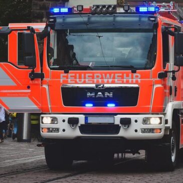 Feuerwehr im Einsatz: Brand auf Straußenfarm in Klein Rosenburg